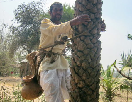 Man tying a rope to a tree.|Young girl being fed a supplement.|Community health care worker giving a program presentation to a group of women and children.|Young girl smiling while carrying a water bucket over her head.|Group of women talking together while standing in a circle.|Young girl washing her hands at a water well.